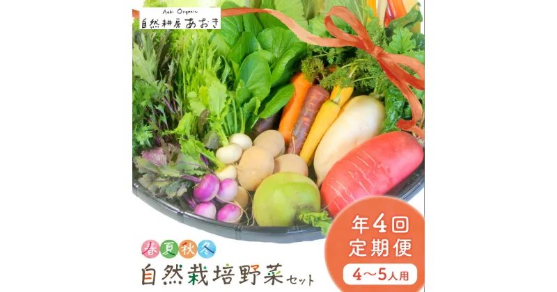 【ふるさと納税】【年4回定期便】 春夏秋冬 自然栽培野菜セット (年4回) 4～5人用　ふるさと納税 野菜 自然栽培 季節 定期便 4~5人用　定期便 4回 旬野菜 詰め合わせ 百貨店 ホテル 栽培期間中 農薬 化学肥料 不使用 京都 産地直送 野菜セット おまかせ おすすめ 美味しい