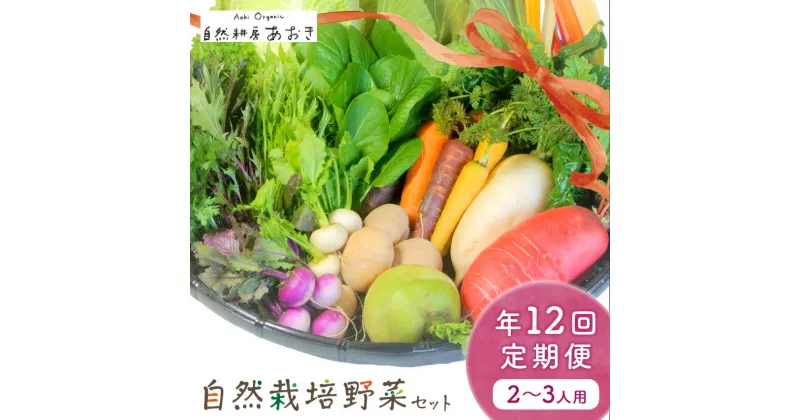 【ふるさと納税】自然栽培野菜セット（年12回）2~3人用　定期便 12ヵ月 ふるさと納税 野菜 自然栽培 季節 定期便 12回 旬野菜 5〜7種 2〜3人用 詰め合わせ 百貨店 ホテル 栽培期間中 農薬 化学肥料 不使用 京都 産地直送 やさい 野菜セット おまかせ おすすめ 美味しい