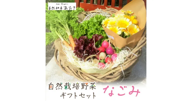 【ふるさと納税】【数量限定】自然栽培野菜ギフトセット（なごみ） 5〜7種 2〜3人用 ふるさと納税 野菜 自然栽培 旬野菜 季節 セット 詰め合わせ ギフト 百貨店 ホテル 栽培期間中 農薬 化学肥料 不使用 京都 産地直送 やさい 野菜セット 野菜ギフト おすすめ 美味しい