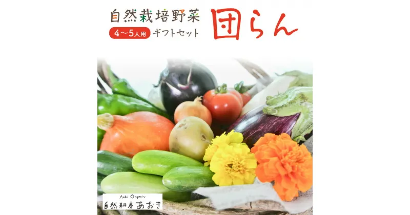 【ふるさと納税】【数量限定】自然栽培野菜セット（団らん）10〜12種 4〜5人用 ふるさと納税 野菜 自然栽培 旬野菜 季節 セット 詰め合わせ 百貨店 ホテル 栽培期間中 農薬 化学肥料 不使用 京都 産地直送 やさい 野菜セット おまかせ おすすめ 美味しい 自然 色鮮やか 甘み