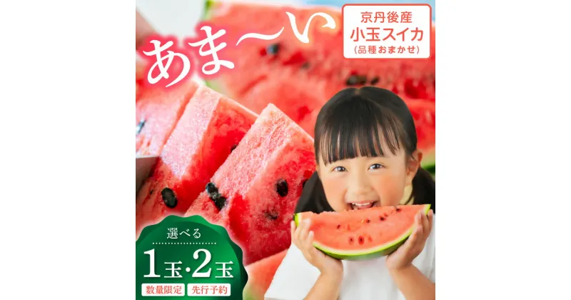 【ふるさと納税】2025年夏発送【先行予約】みんな大好き！甘〜ぃ！シャリ美味！！京丹後産小玉スイカ！！1玉 2玉 選べる 個数（ひとりじめ、姫甘泉、ひめまくら、砂丘たまごから1種類）（2025年7月上旬〜発送） ふるさと納税 スイカ ふるさと納税 フルーツ ふるーつ 甘い