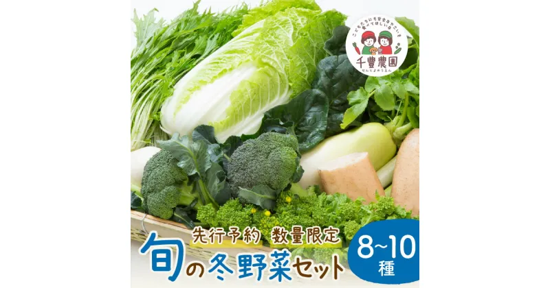 【ふるさと納税】【 先行予約 ／ 数量限定 100】農家直送　旬 の 冬野菜 8～10種 セット 　野菜 採れたて 冬 新鮮 旬野菜 鍋 大根 かぶ じゃがいも キャベツ 栽培期間中 無農薬 有機肥料 土づくり 安全 やさい 冬野菜カレー ふるさと納税 野菜 生産者応援 農家応援 送料無料