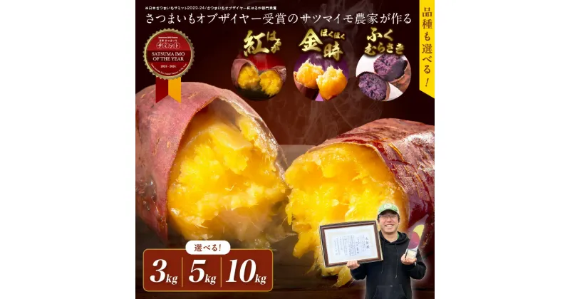 【ふるさと納税】食べ比べ！ ★5.0 さつまいもオブザイヤー受賞のサツマイモ農家が作る 紅はるか ホクホク金時 ふくむらさき 食べ比べ 2種 3種 土付き 選べる 3kg 5kg 10kg 京都 丹後 野菜 ふるさと納税 さつま芋 サツマイモ 受賞 甘い しっとり 受賞 全国1位