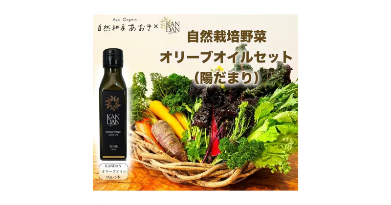 【ふるさと納税】【数量限定】自然栽培野菜 と KANDAN オリーブオイル 90g セット 5〜7種 2〜3人用（陽だまり）自然栽培 野菜 オリーブ油 エキストラバージン 旬 詰め合わせ 新鮮 調味料付 京都差 京丹後産 国産 国産オリーブ ドレッシング ふるさと納税 野菜