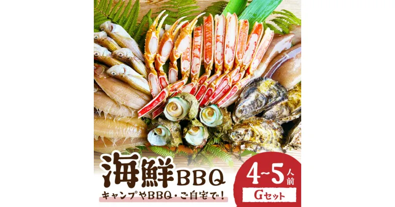 【ふるさと納税】大好評！京丹後 海鮮BBQ G セット 大盛り生ズワイガニ 6種 23品（ 4～5人前 ）魚介類 さざえ 蠑螺 カキ かき いか イカ カレイ カニ 蟹 ズワイガニ ハタハタ バーベキュー キャンプ アウトドア 個包装 冷凍 送料無料 BBQ たっぷり大満足セット ファミリー