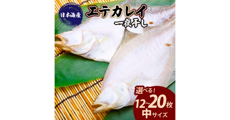 【ふるさと納税】【 店主一押し 絶品干物 高リピート！】エテカレイ 一夜干し　中サイズ（ 朝食サイズ ）12枚 20枚 選べる 干物 ひもの 冷凍 魚介 カレイ エテガレイ カレイの煮付け 魚 おかず おつまみ 朝食 海鮮 無添加 日本海産 真空パック 白身魚 魚料理 簡単 焼き魚