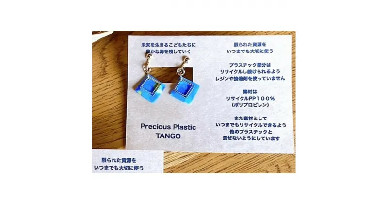 【ふるさと納税】Precious Plastic イヤリング 雑貨 手作り ハンドメイド ファッション SDGs ビーチクリーン おしゃれ ふるさと納税 アクセサリー