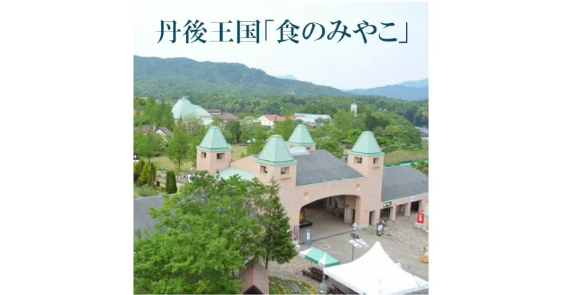 【ふるさと納税】道の駅　丹後王国「食のみやこ」応援感謝券（500円券×6枚） 感謝券 クーポン券 アトラクション 体験 レストラン 食事 宿泊 ドッグラン 京丹後市