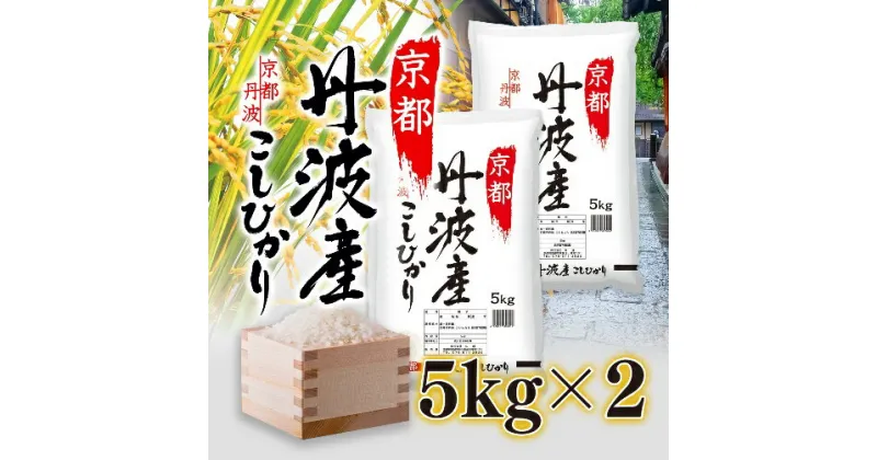 【ふるさと納税】米 京都丹波産 こしひかり 5kg ×2 精米 白米 お米 コメ こめ コシヒカリ 10kg 10キロ 美味しい 食味鑑定士厳選 丹波産 京都　 南丹市