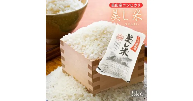 【ふるさと納税】米 美し米 5kg 美山産 コシヒカリ 白米 精米 コメ こめ お米 こしひかり 5 キロ ご飯 ごはん 京都　 南丹市