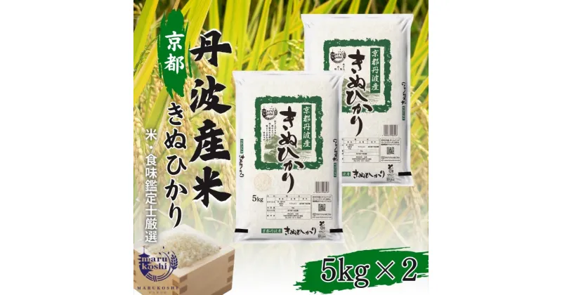 【ふるさと納税】米 京都丹波産 きぬひかり 5kg ×2 精米 白米 お米 コメ こめ キヌヒカリ 10kg 10キロ 美味しい 食味鑑定士厳選 丹波産 京都　 南丹市