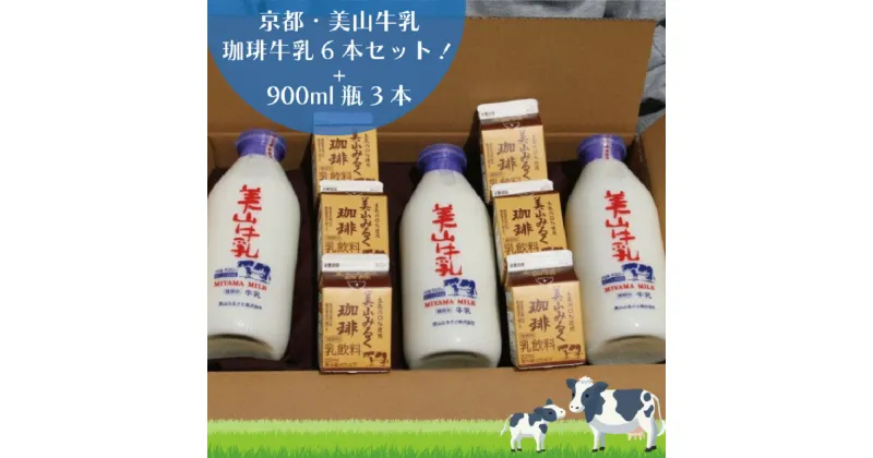 【ふるさと納税】牛乳 京都 美山牛乳 瓶 900ml ×3本 珈琲牛乳 200ml ×6本 詰め合わせ セット 美山町 お取り寄せ コーヒー牛乳 パック ※北海道・沖縄・離島への発送不可　 南丹市