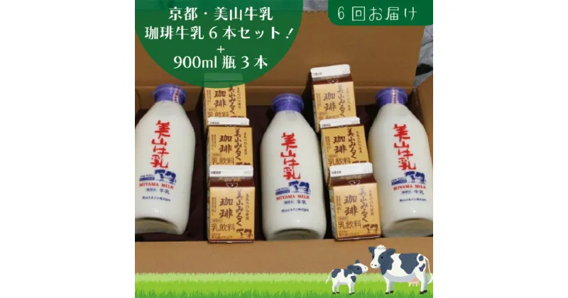 【ふるさと納税】牛乳 定期便 6ヶ月 京都 美山牛乳 瓶 900ml ×3本 珈琲牛乳 200ml ×6本 詰め合わせ セット 美山町 お取り寄せ コーヒー牛乳 パック 定期 お楽しみ 6回 ※北海道・沖縄・離島への発送不可　定期便・ 南丹市