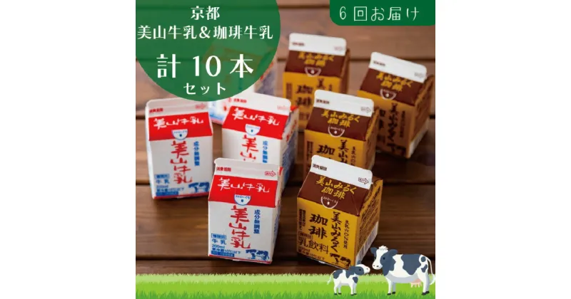 【ふるさと納税】牛乳 定期便 6ヶ月 京都 美山牛乳 200ml ×5本 珈琲牛乳 ×5本 詰め合わせ セット 美山町 お取り寄せ コーヒー牛乳 パック 紙パック 200mL 定期 お楽しみ 6回 ※北海道・沖縄・離島への発送不可　定期便・ 南丹市