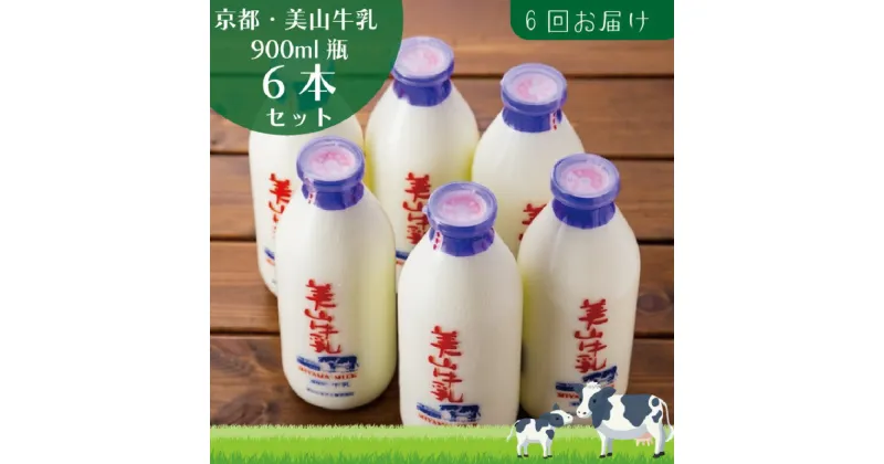 【ふるさと納税】牛乳 定期便 6ヶ月 京都 美山牛乳 瓶 900ml ×6本 セット 美山町 お取り寄せ 定期 お楽しみ 6回 ※北海道・沖縄・離島への発送不可　定期便・ 南丹市