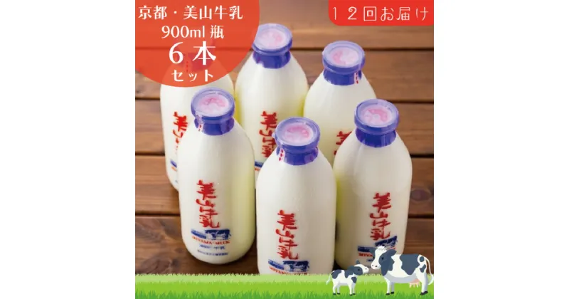 【ふるさと納税】牛乳 定期便 12ヶ月 京都 美山牛乳 瓶 900ml ×6本 セット 美山町 お取り寄せ 定期 お楽しみ 12回 ※北海道・沖縄・離島への発送不可　定期便・ 南丹市