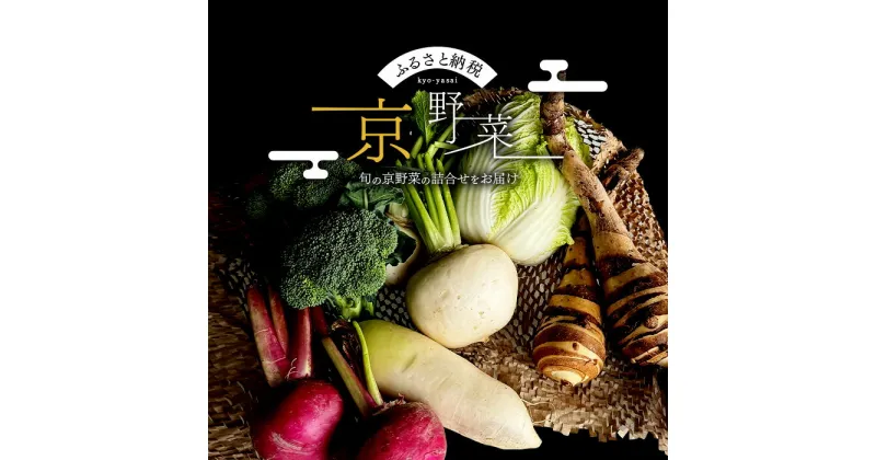 【ふるさと納税】野菜セット 産直 京野菜 おまかせセット M 野菜 4種 セット 詰め合わせ 旬野菜 季節の野菜 減農薬栽培 旬 おまかせ 京都　 南丹市