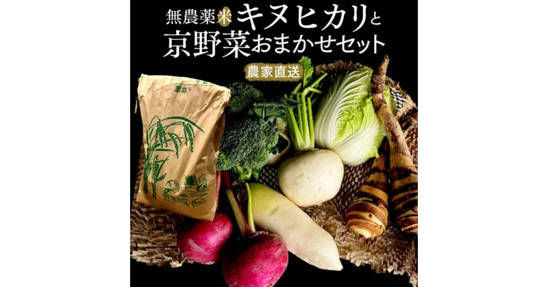 【ふるさと納税】【数量限定販売】こだわり無農薬米キヌヒカリと京野菜おまかせセット　≪予約≫　※11月1日より順次発送　 お米 ブランド米 銘柄米 精米 白米 京野菜セット 野菜セット 旬の京野菜 旬の野菜 グルメ 　お届け：※11月1日より順次発送