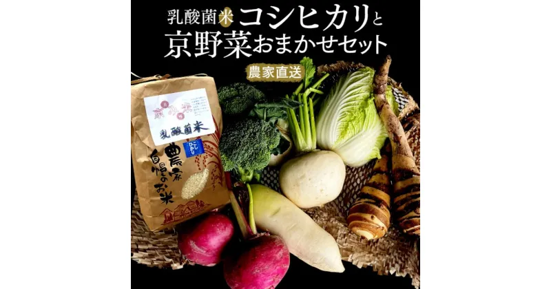 【ふるさと納税】【数量限定販売】乳酸菌米コシヒカリと京野菜おまかせセット　≪予約≫　※11月1日より順次発送　 お米 ブランド米 銘柄米 精米 白米 京野菜セット 野菜セット 旬の京野菜 旬の野菜 グルメ 　お届け：11月1日より順次発送