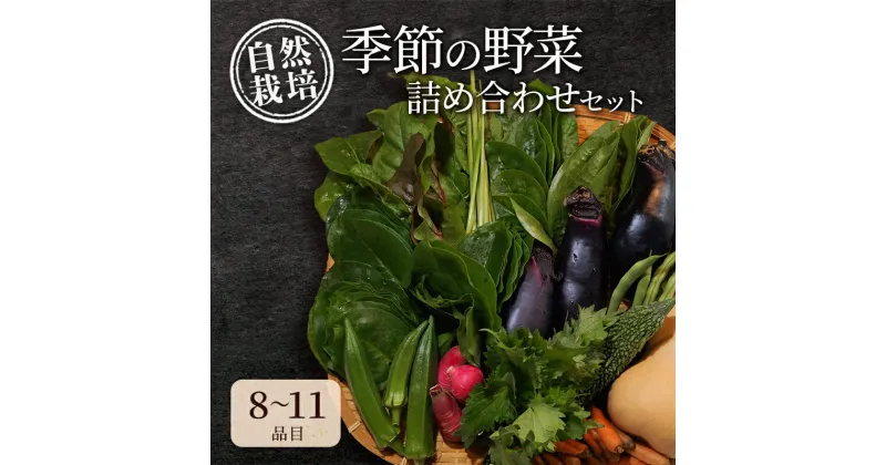 【ふるさと納税】自然栽培・季節の野菜詰め合わせセット 旬 新鮮 採れたて 栽培期間中 無農薬 無化学肥料 安心安全 自然派 産地直送 やさい 詰め合わせ 京都府 南丹市