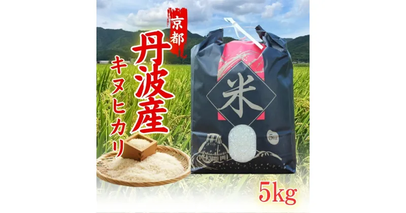 【ふるさと納税】令和6年度産 新米 キヌヒカリ 5kg 京都丹波産 ※10月中旬以降お届け　お届け：2024年10月中旬より配送開始