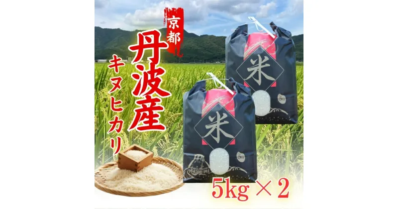 【ふるさと納税】令和6年度産 新米 キヌヒカリ 10kg 京都丹波産 ※10月中旬以降お届け　お届け：2024年10月中旬より配送開始