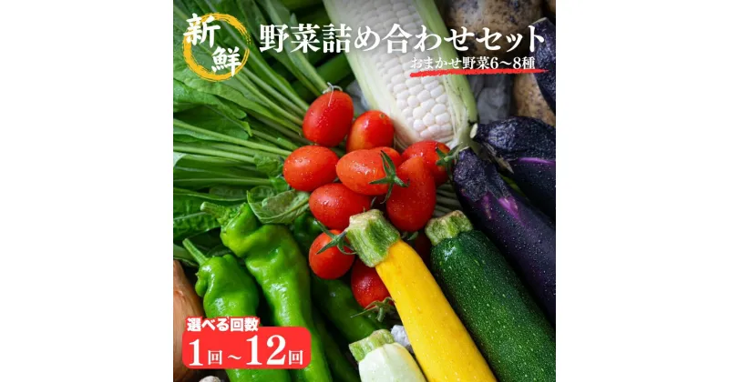 【ふるさと納税】新鮮 野菜 詰め合わせ セット