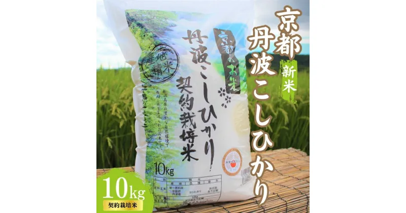 【ふるさと納税】令和6年産 新米 京都丹波産 こしひかり 10kg　契約栽培米