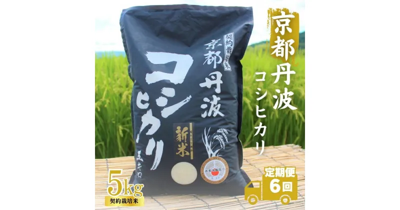 【ふるさと納税】【6カ月定期便】令和6年産 新米 京都丹波産 こしひかり 5kg 合計30kg　定期便