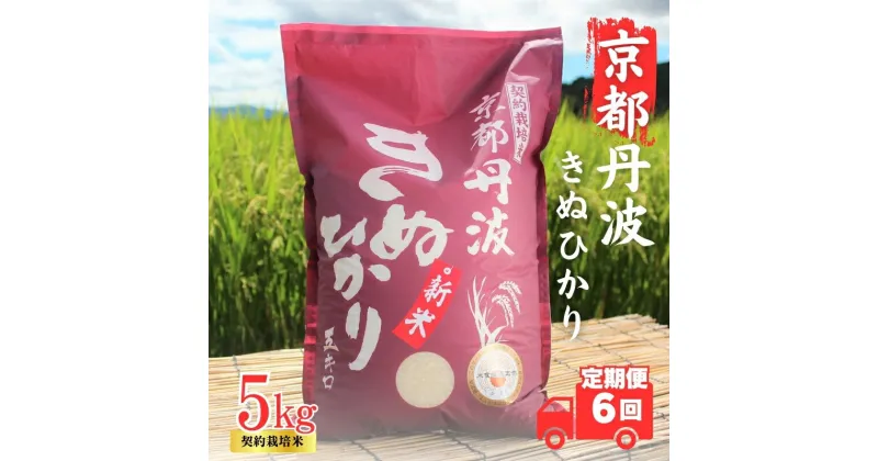 【ふるさと納税】【6カ月定期便】令和6年産 新米 京都丹波産 きぬひかり 5kg 合計30kg　定期便