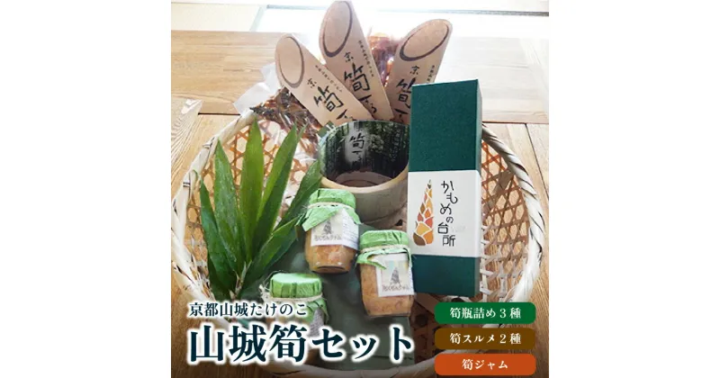 【ふるさと納税】山城筍セット 筍 珍しい逸品 ジャム 甘い 食感 トースト するめ 手作り 美味しい 詰合せ 特産品 山城筍 ご飯のお供 調味料 かもめの台所