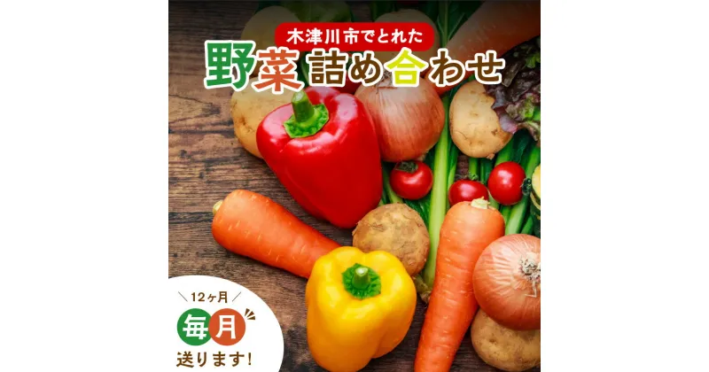 【ふるさと納税】＜京都産＞木津川市でとれた野菜詰め合わせを12か月毎月送ります！ 野菜セット 季節の野菜 新鮮 JA京都やましろ農産物直売所 木津店