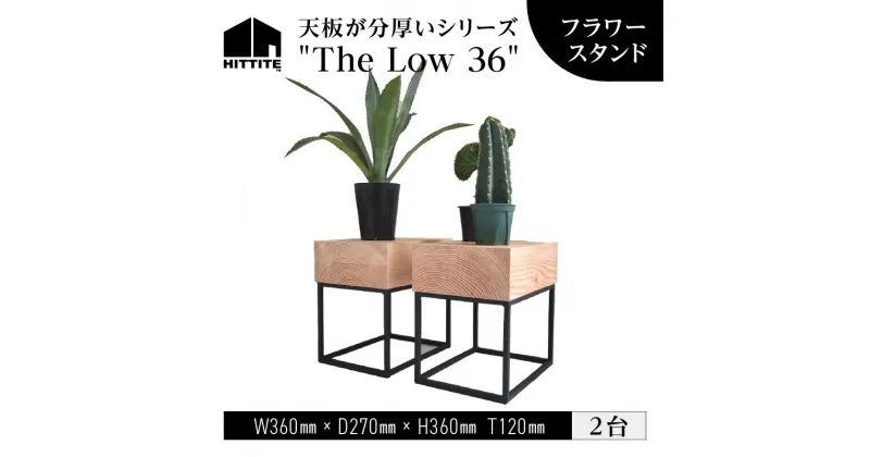 【ふるさと納税】 HITTITE の天板が分厚いシリーズ “The Low 36” フラワースタンド 2台 植物 台 おしゃれ かわいい ヒッタイト