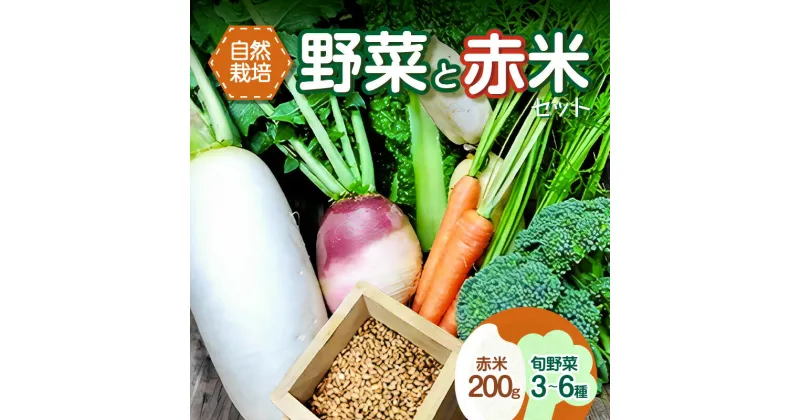 【ふるさと納税】＜京都産＞野菜と赤米のセット 旬の野菜 3〜6種類 玄米