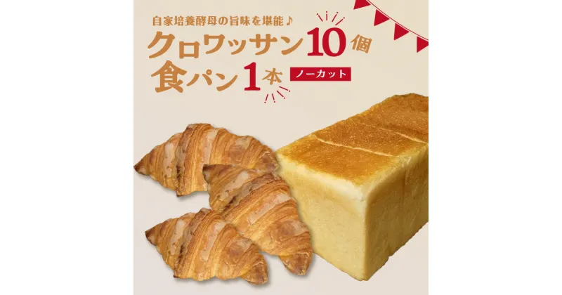 【ふるさと納税】 自家培養酵母の旨味を堪能♪クロワッサン10個＋食パン1本(ノーカット) 自家培養酵母 ザクザク しっとり バターの旨味 セット ブーランジェリーファヴール パンセット