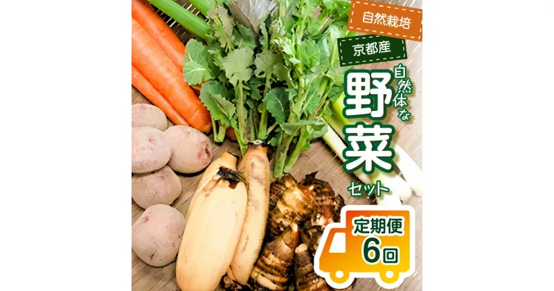 【ふるさと納税】＜京都産野菜定期便6回＞自然体な野菜セット