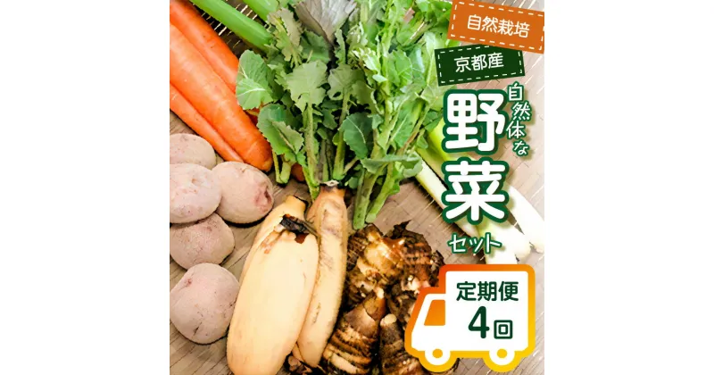 【ふるさと納税】＜京都産野菜定期便4回＞自然体な野菜セット