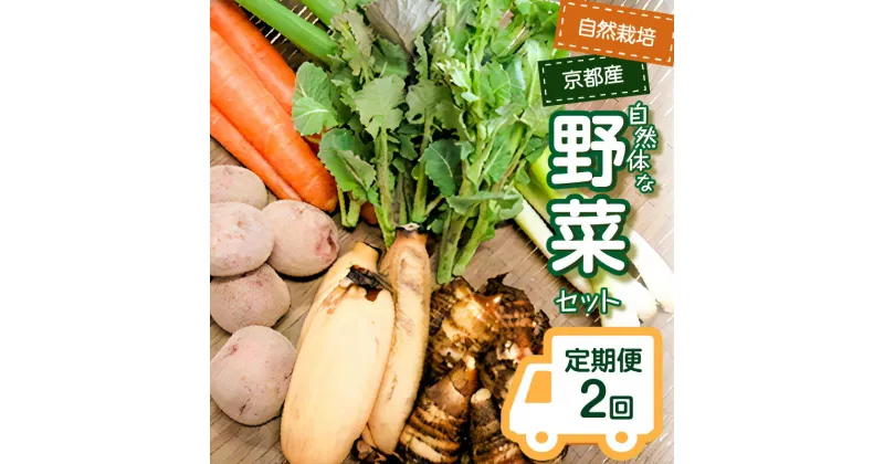 【ふるさと納税】＜京都産野菜定期便2回＞自然体な野菜セット