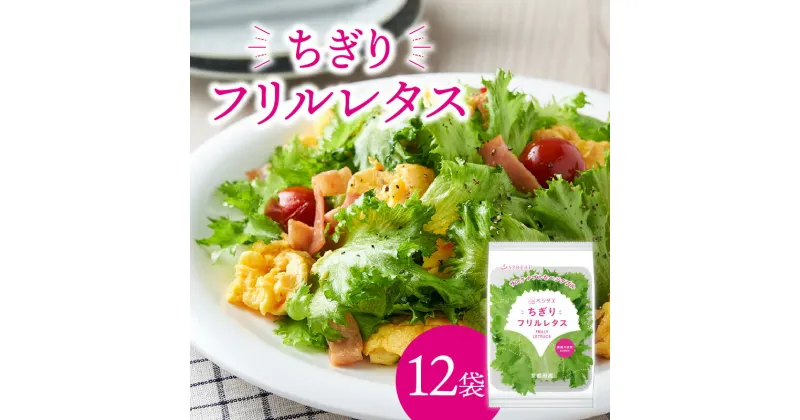 【ふるさと納税】ベジタス ちぎり フリルレタス 12個入り シャキシャキ食感 緑黄色野菜 植物工場 サラダ レタス SDGs