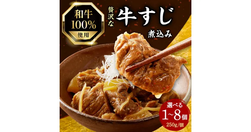 【ふるさと納税】《レビューキャンペーン》 和牛100％の贅沢なすじ煮込み 250g 選べる個数（1〜8個） 牛すじ 国産 すじ すじ煮込 おつまみ 大根 牛すじ煮込み すじ煮込み 和牛 牛肉 惣菜