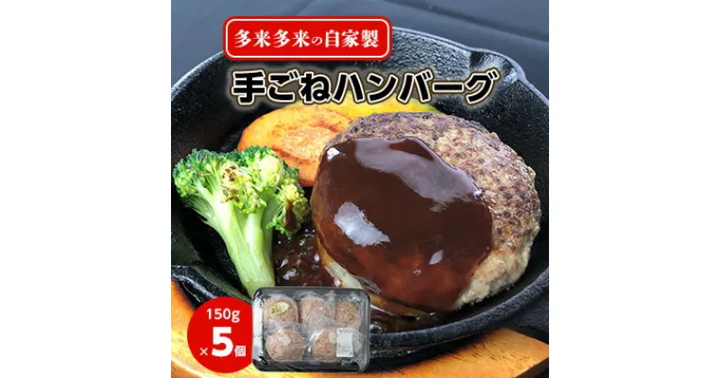 【ふるさと納税】多来多来の自家製手ごねハンバーグ(150g×5個)【配送不可地域：離島】【1258378】