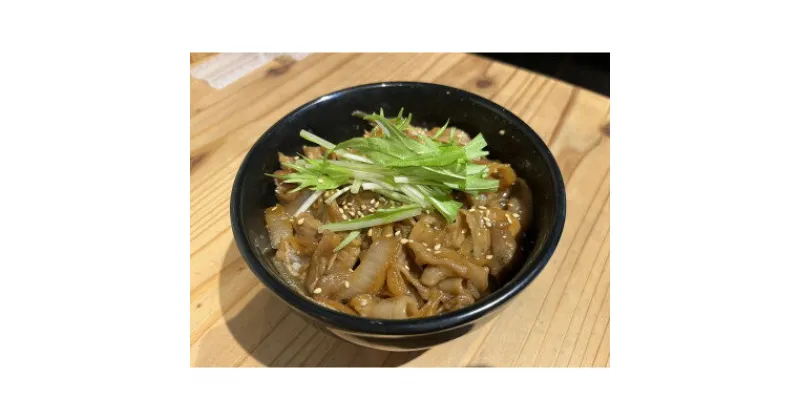 【ふるさと納税】自家製 生姜焼き丼の具 150g×10食分【配送不可地域：離島】【1491475】