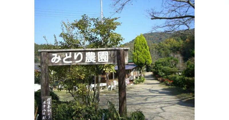 【ふるさと納税】京都山城井手の里　～みどり農園・四季の味覚めぐり