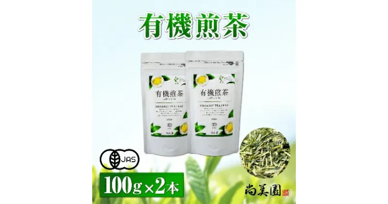 【ふるさと納税】宇治・有機煎茶 100g×2本〈有機 オーガニック 無農薬 お茶 茶 煎茶 緑茶 有機煎茶 飲料 茶葉 日本茶 宇治茶 加工食品〉　お茶 緑茶 有機煎茶 煎茶