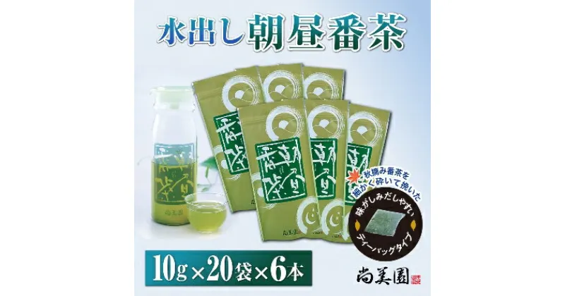 【ふるさと納税】宇治・水出し朝昼番茶ティーバッグ 10g×20袋入×6本　クールサーバー付　〈お茶 茶 煎茶 緑茶 番茶 秋摘み カテキン 水出し ティーバッグ ティーパック クールサーバー 飲料 健康 加工食品〉　宇治田原町