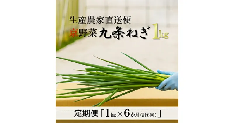 【ふるさと納税】【6か月定期便】生産農家直送 京野菜・九条ねぎ1kg〈定期便 ねぎ ネギ 葱 九条ねぎ 京野菜 京都 新鮮 甘い 農家直送 野菜〉　定期便・野菜 ねぎ 京野菜 九条ねぎ 6ヶ月 6回 半年