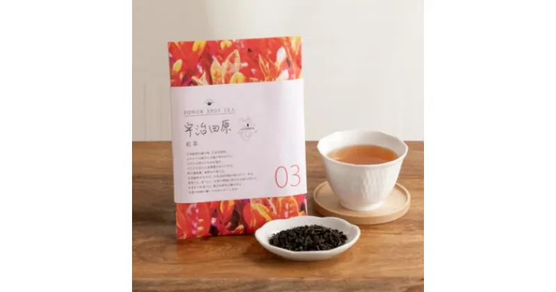 【ふるさと納税】直茶発祥の地からお届け「宇治田原紅茶」50g×5袋〈お茶 茶 紅茶 茶葉 飲料 フルーティー 加工食品〉　紅茶 ティー 宇治田原紅茶