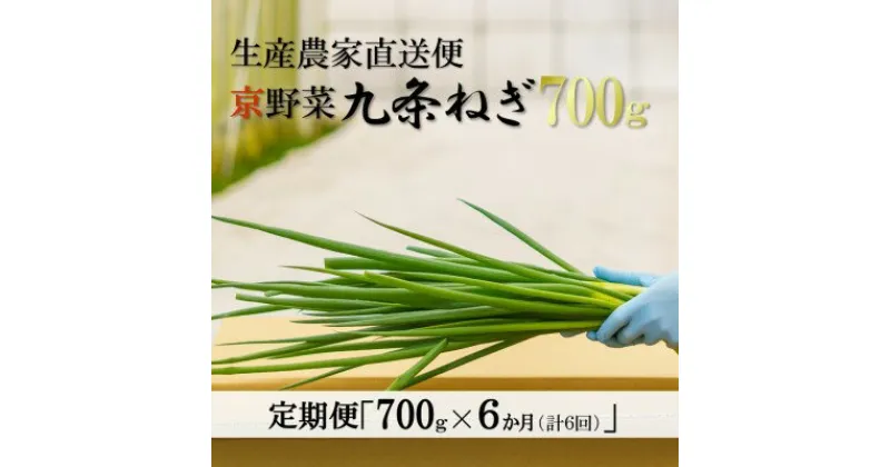 【ふるさと納税】【6か月定期便】生産農家直送 京野菜・九条ねぎ1kg〈定期便 ねぎ ネギ 葱 九条ねぎ 京野菜 京都 新鮮 甘い 農家直送 野菜〉　定期便・ 野菜 ネギ 葱 京都府産 薬味 料理 食材 半年