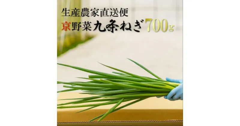 【ふるさと納税】生産農家直送 京野菜・九条ねぎ700g〈ねぎ ネギ 葱 九条ねぎ 京野菜 京都 新鮮 甘い 農家直送 野菜〉　 野菜 ネギ 葱 京都府産 薬味 料理 食材