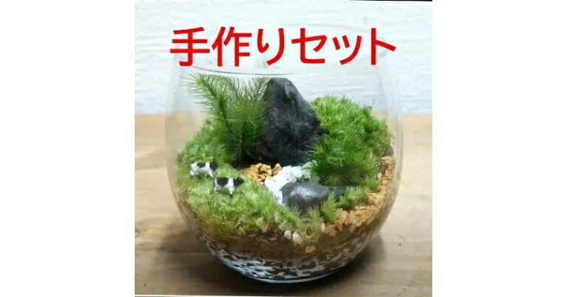 【ふるさと納税】コケテラリウム手作りセット（径8cm×高さ8cm）〈コケ 苔 こけ 植物 初心者 インテリア 手作り セット キッド 雑貨 日用品〉　 インテリア 植物 作りやすい 初心者 景色作り 美しい